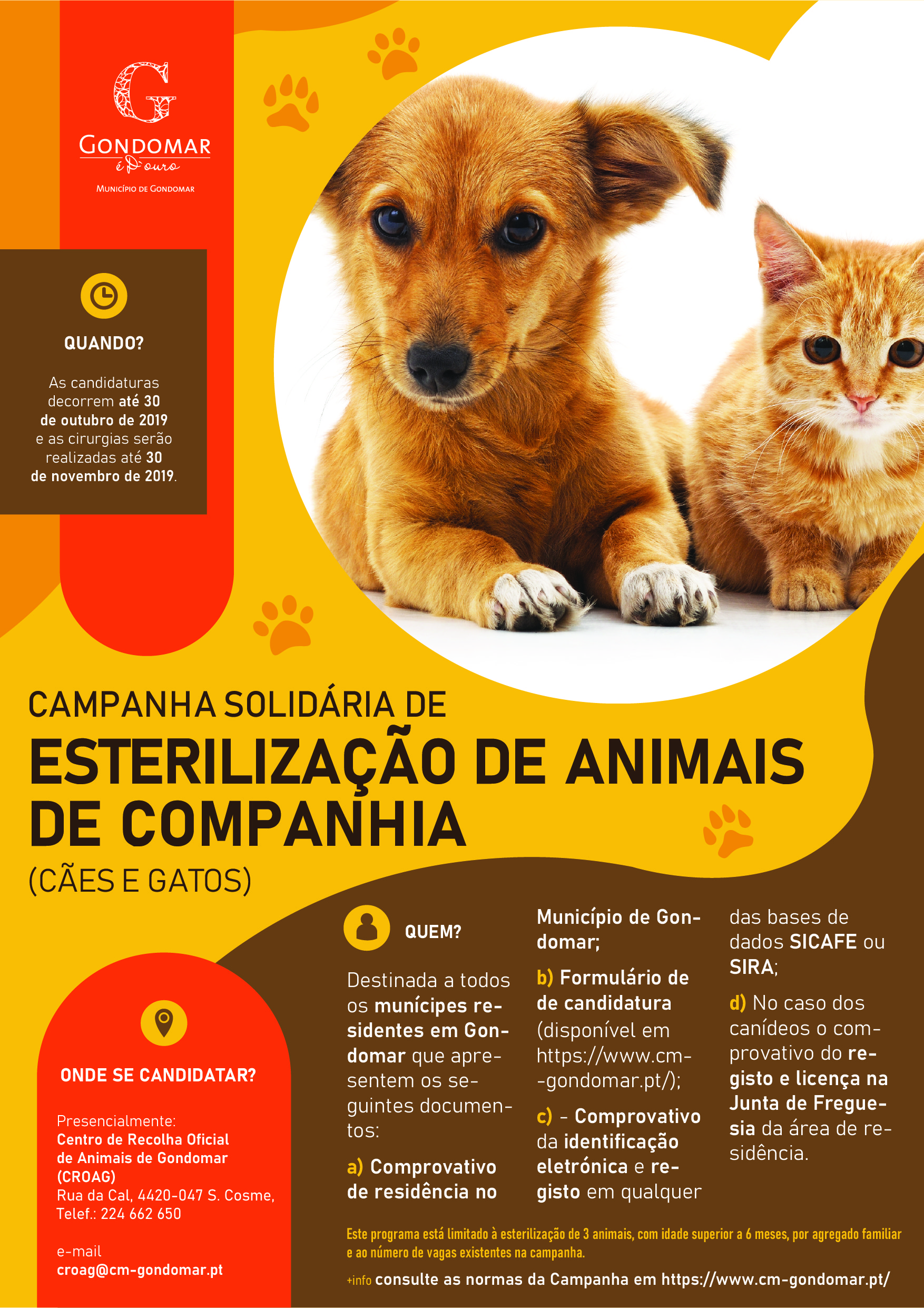Esterilização de Animais de Companhia