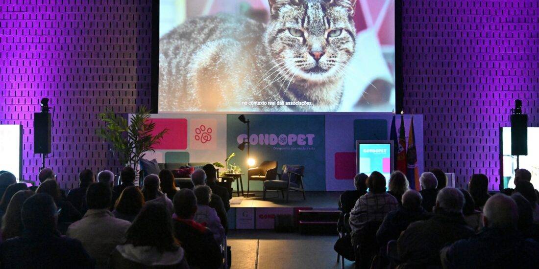GondoPET aposta na relação com animais para promover envelhecimento ativo