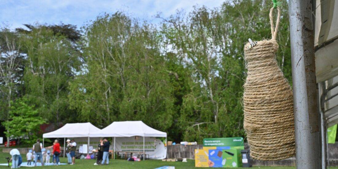 Gondomar marca presença no BioBlitz Serralves com atividades para toda a família