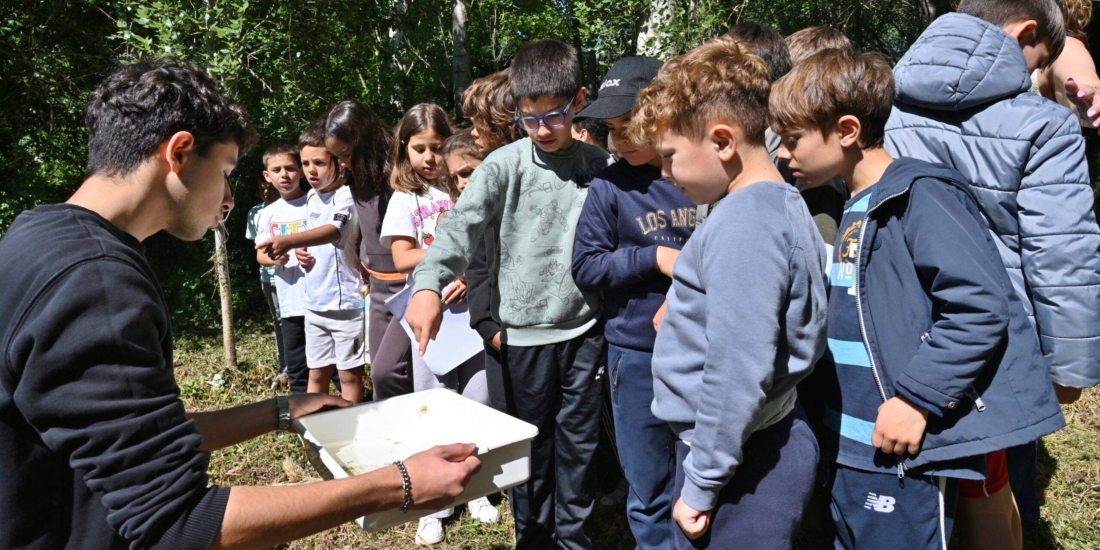“Guardiões dos Rios” leva alunos ao terreno para monitorizar e proteger linhas de água