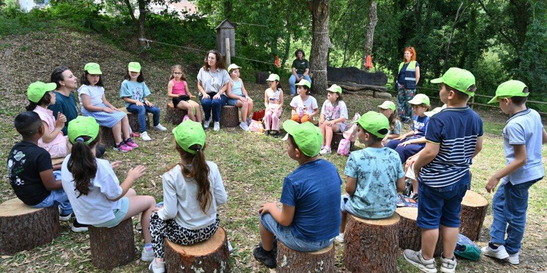 FORESTschool transforma bosque da Quinta do Passal em sala de aula ao ar livre