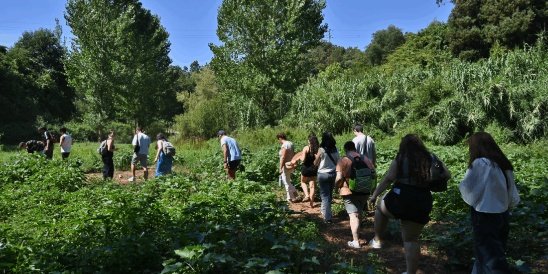 Gondomar desafia jovens a proteger a natureza com o projeto ECOPASSAL