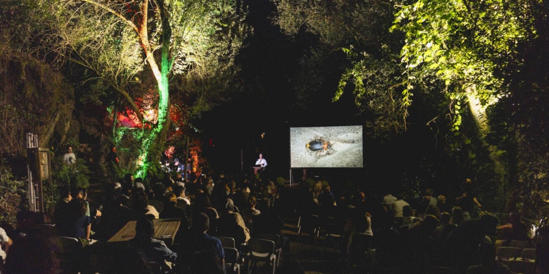 Cinema nos Moinhos voltou a transformar os Moinhos de Jancido numa sala de cinema ao ar livre