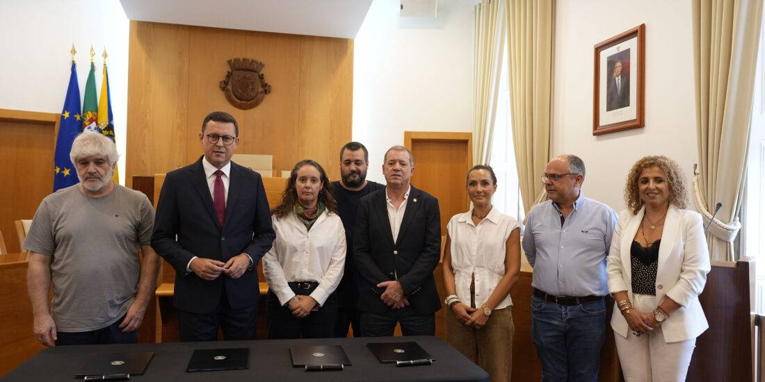 Município de Gondomar reforça intervenção no controlo de gatos errantes
